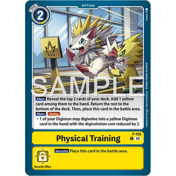 DCG [AD01-P-105 P] Physical Training (Reprint)