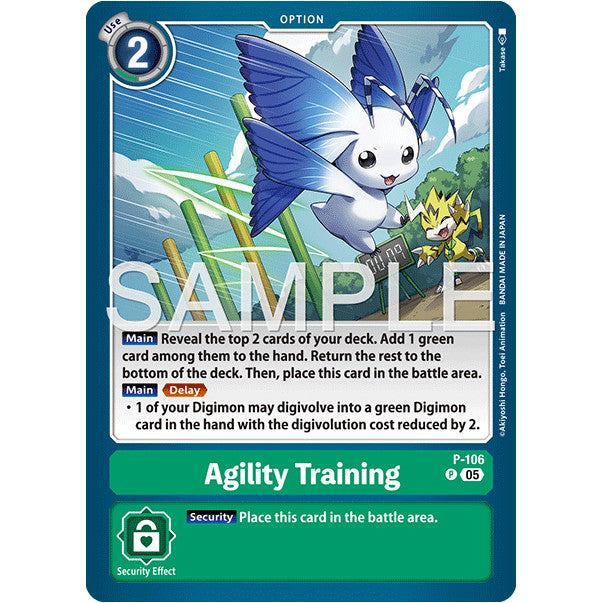 DCG [AD01-P-106 P] Agility Training (Reprint)