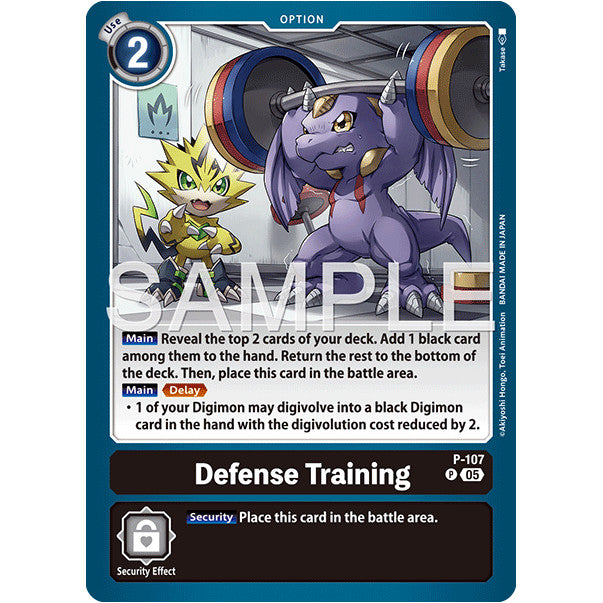 DCG [AD01-P-107 P] Defense Training (Reprint)