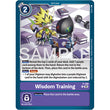 DCG [AD01-P-108 P] Wisdom Training (Reprint)