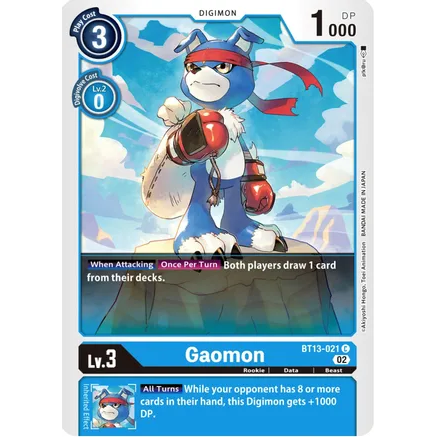 DCM [BT13-021 C] Gaomon
