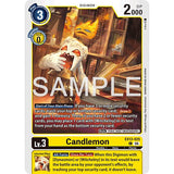 DCG [EX13-025 C] Candlemon