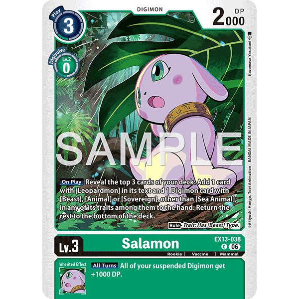 DCG [EX13-038 C] Salamon