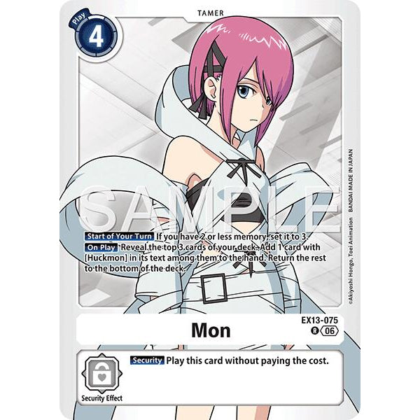 DCG [EX13-075 R] Mon