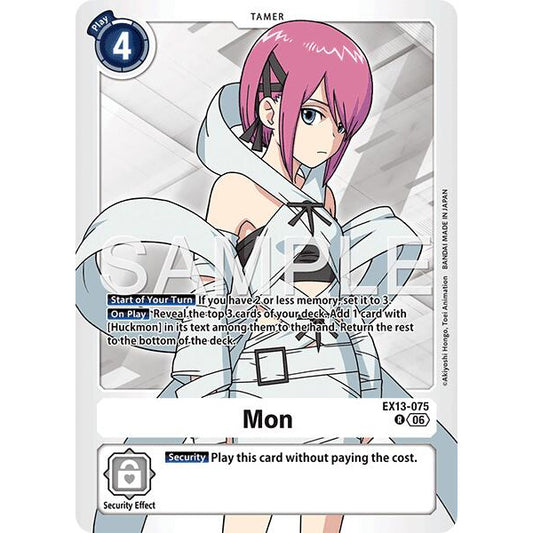 DCG [EX13-075 R] Mon
