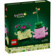 LEGO Botanicals 11506 Rocking Plants