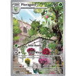 PKM [SV02-PAL-197 IR] Floragato - 197/193
