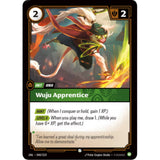 RFB [RFB03-UNL-040 C] Wuju Apprentice