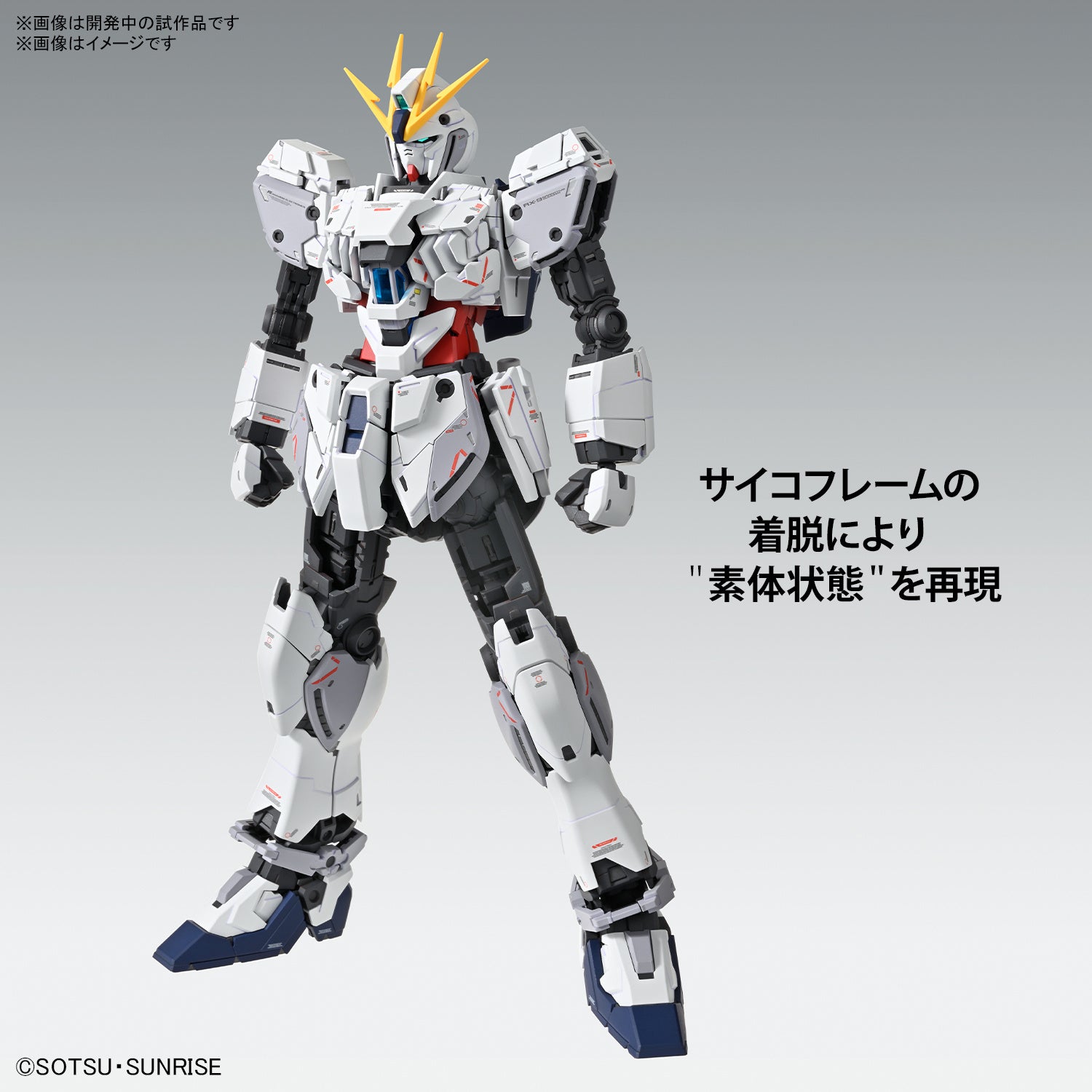 MG Narrative Gundam C-Packs Ver. Ka