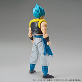 Figure-rise Standard Super Saiyan God Super Saiyan Gogeta (Dragon Ball)