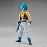 Figure-rise Standard Super Saiyan God Super Saiyan Gogeta (Dragon Ball)