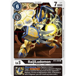 DCG [BT3-069 C] RaijiLudomon