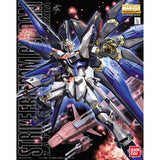 MG - Strike Freedom Gundam