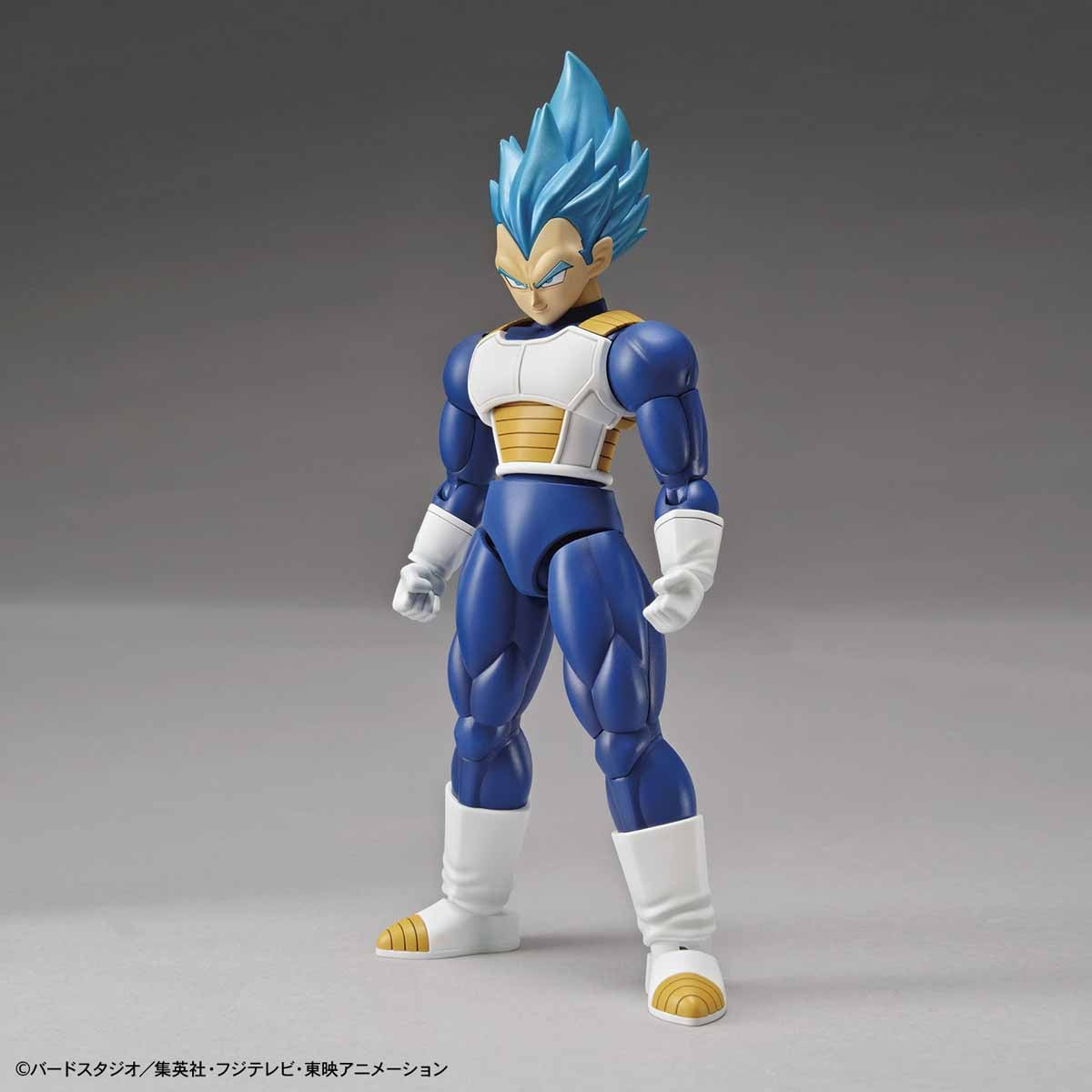 Figure-rise Standard SUPER SAIYAN GOD SUPER SAIYAN VEGETA (PKG renewal)