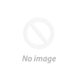 DCG [BT5-007 C] Agumon (Royal Knights Card Set)